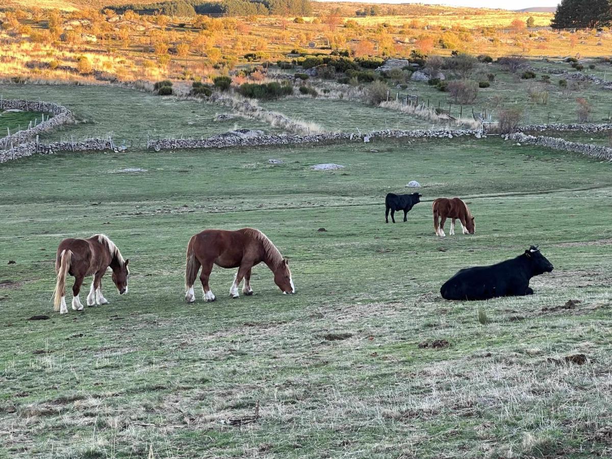 La Nava De Gredos Acogedor Piso Con Vistas Apartment Navarredonda de Gredos Luaran gambar
